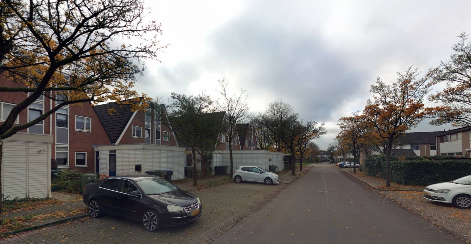 Zwanebloem 8