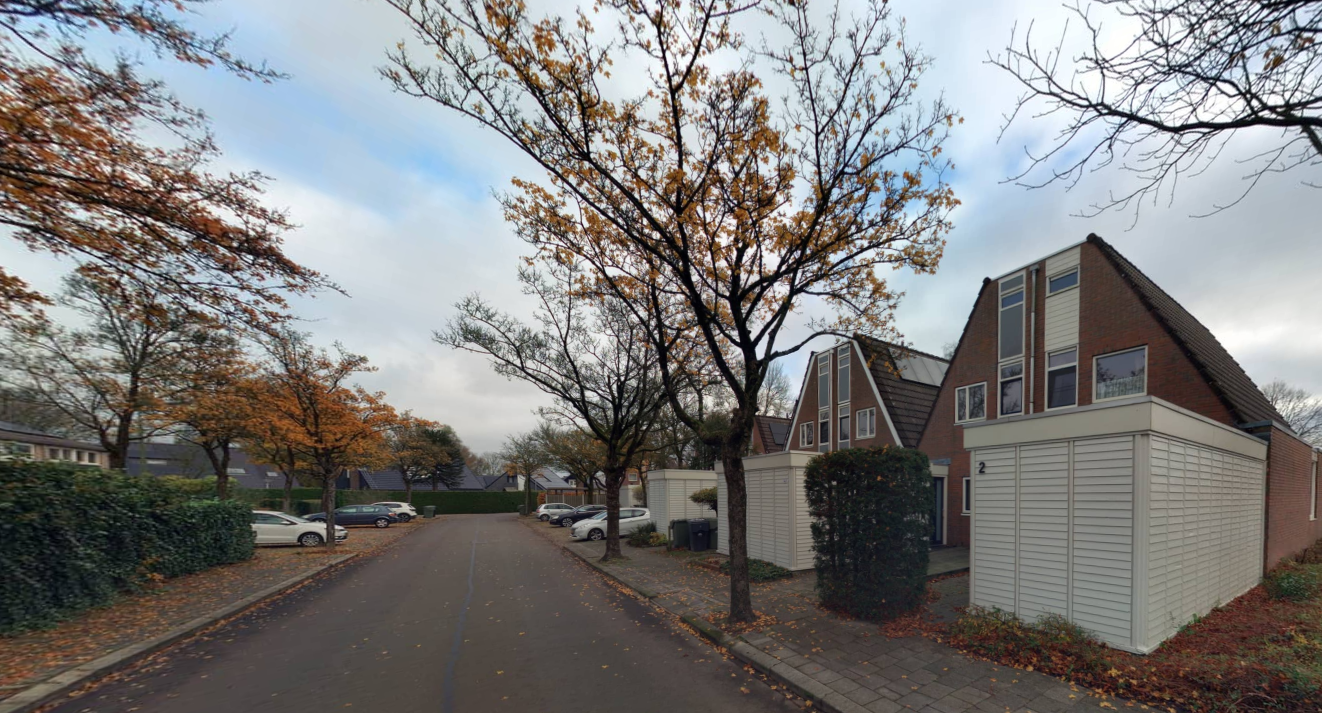 Zwanebloem 8