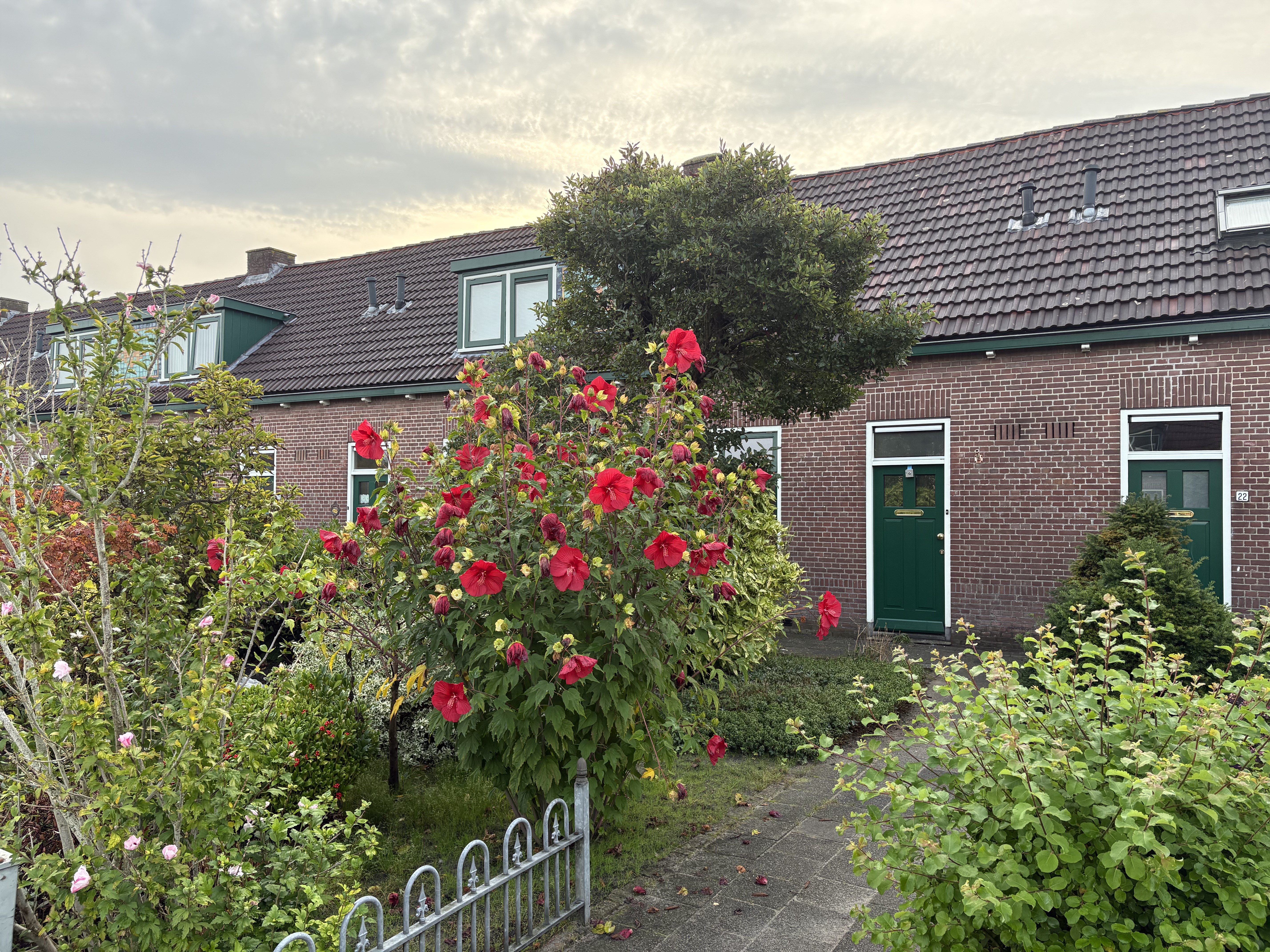 Beter Wonen 24, 9203 BL Drachten, Nederland