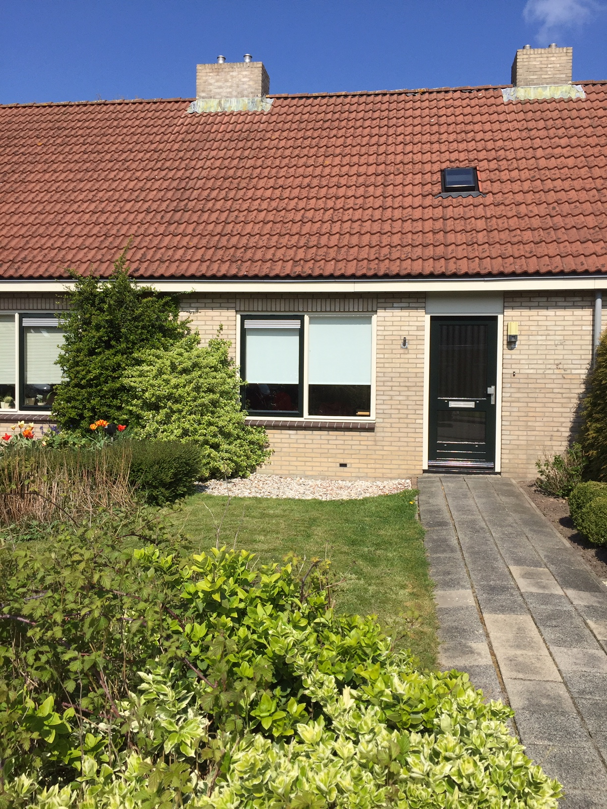 Weegbree 3, 9103 SL Dokkum, Nederland