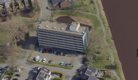 Zwenkgras 90