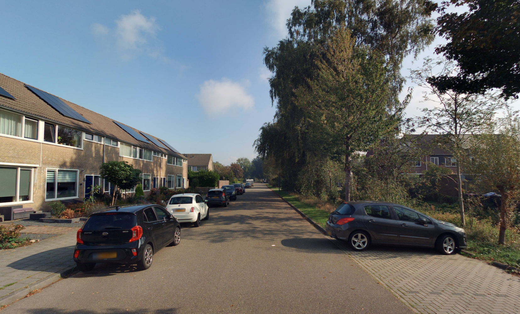 Blauwgras 59
