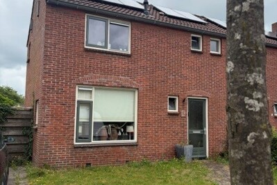 Nije Hale 8 Damwald, Damwâld